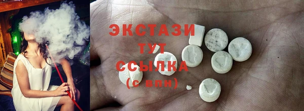 индика Кулебаки