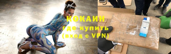 индика Кулебаки