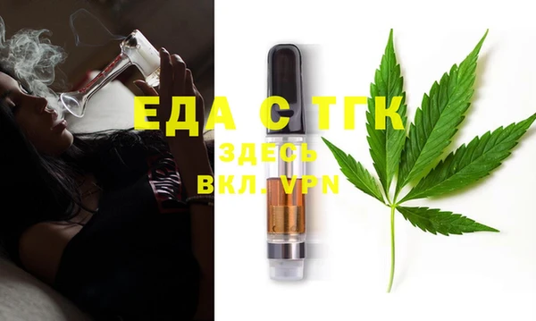 индика Кулебаки