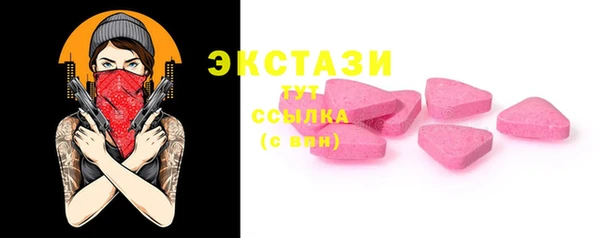 ECSTASY Краснослободск