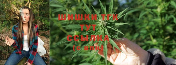 ALPHA PVP Куйбышев