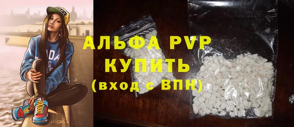 индика Кулебаки