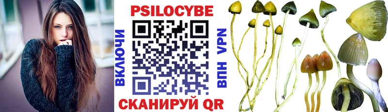 кракен ССЫЛКА  Электроугли  Галлюциногенные грибы Psilocybine cubensis 